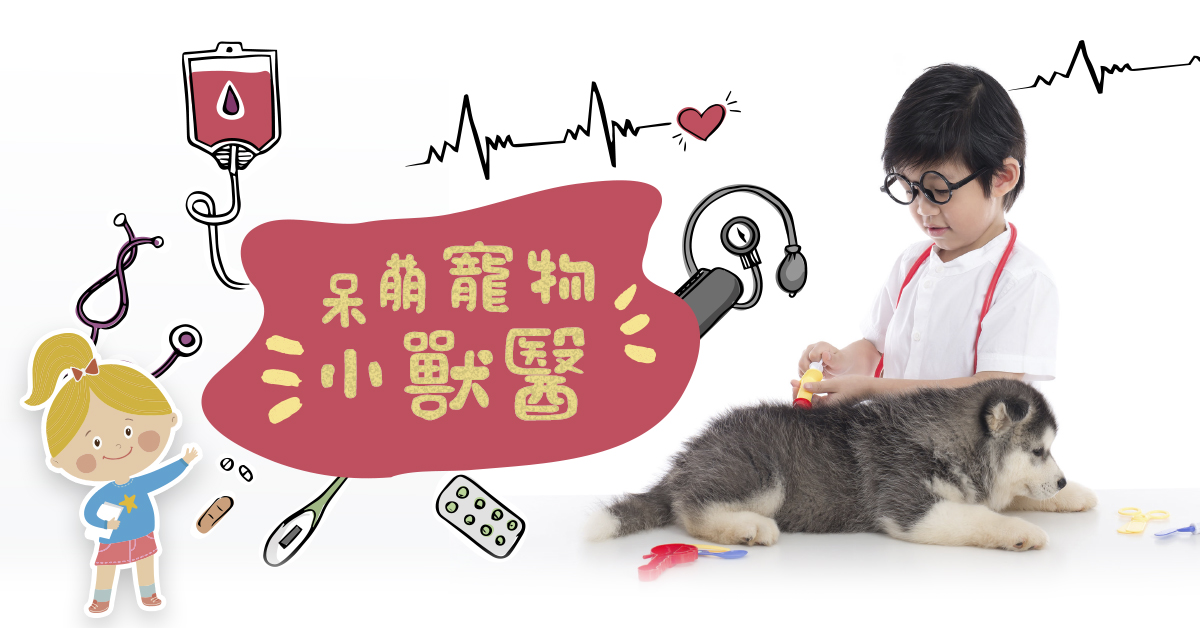 呆萌寵物小獸醫【2027冬令營】