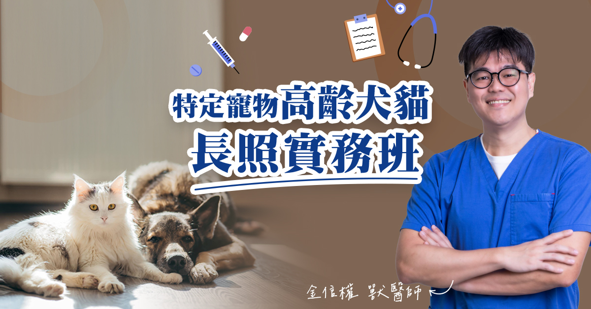【課程預約】特定寵物高齡犬貓長照實務班