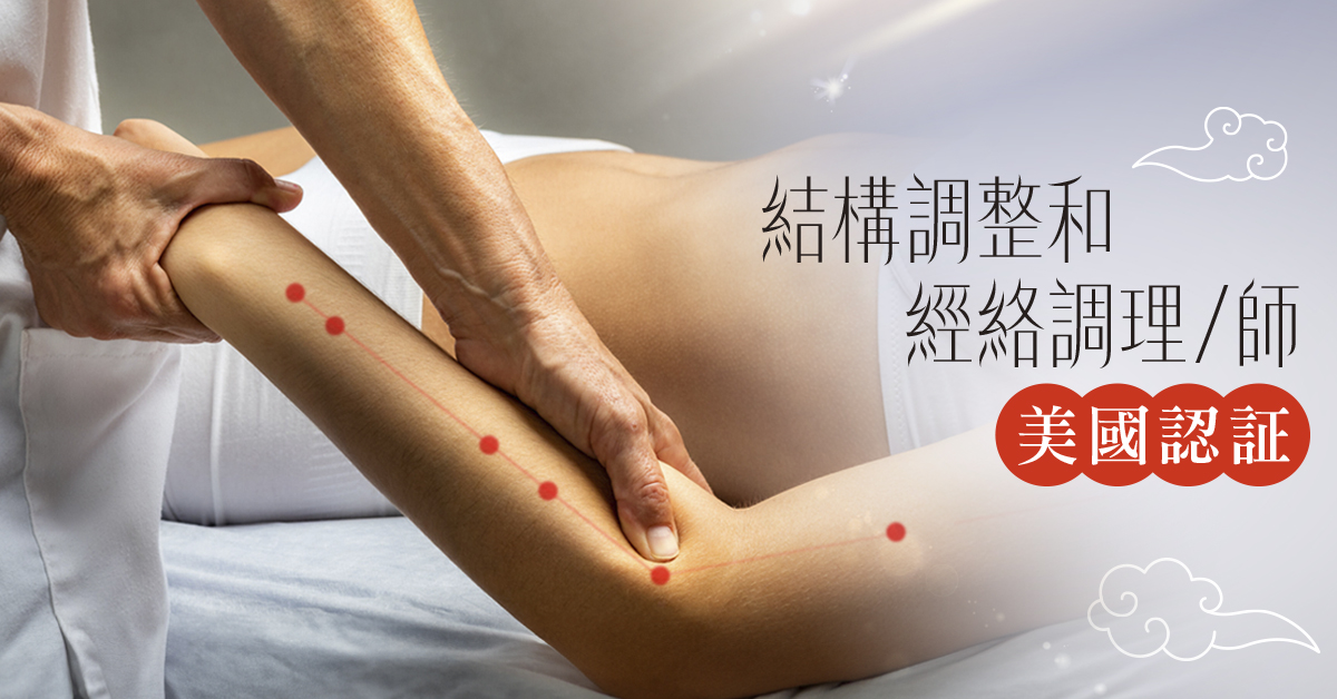 結構調整和經絡調理/+師(全台獨家美國認證)