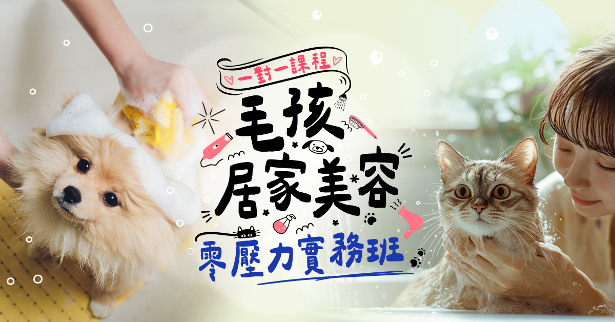 毛孩居家美容零壓力實務班-一對一課程