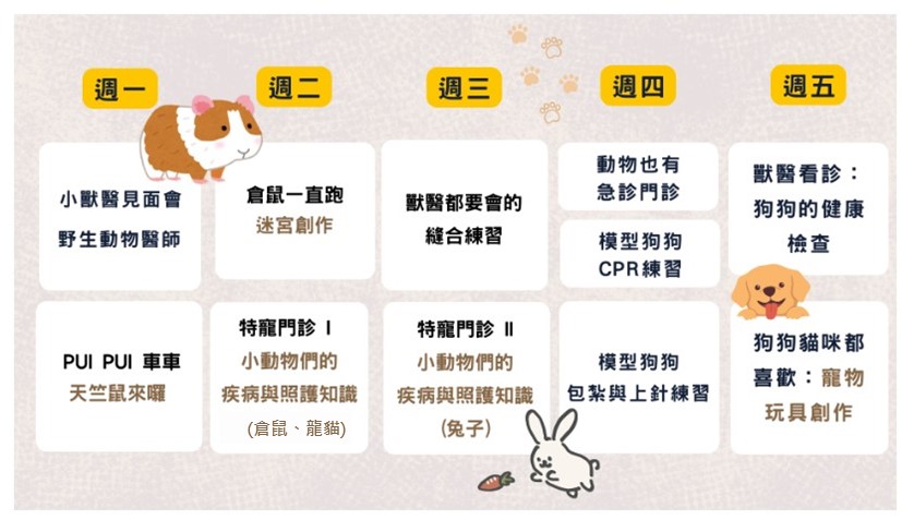 呆萌寵物小獸醫