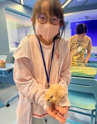 呆萌寵物小獸醫
