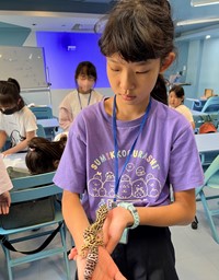 呆萌寵物小獸醫